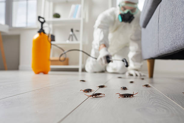 Commercial Kitchen Cockroach Control in New Cumberland